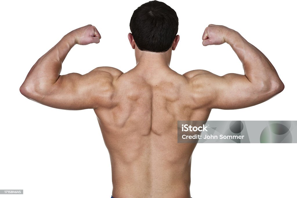 Muscular back of man Muscular man shot from behind and isolated on white background  Deltoid Stock Photo