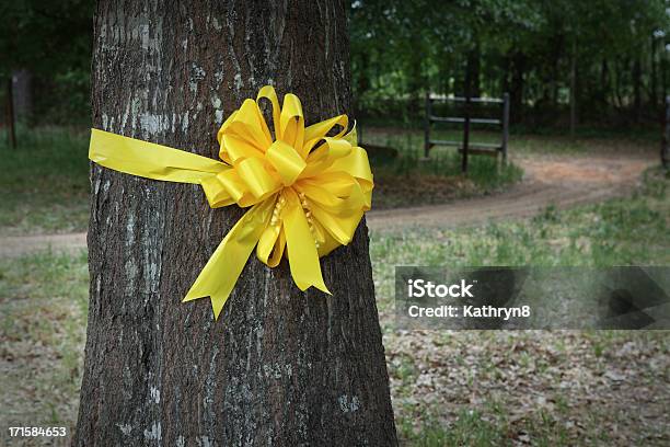 周りに黄色のリボンをオークの木 - 黄色いリボンのストックフォトや画像を多数ご用意 - 黄色いリボン, オークの木, リボン