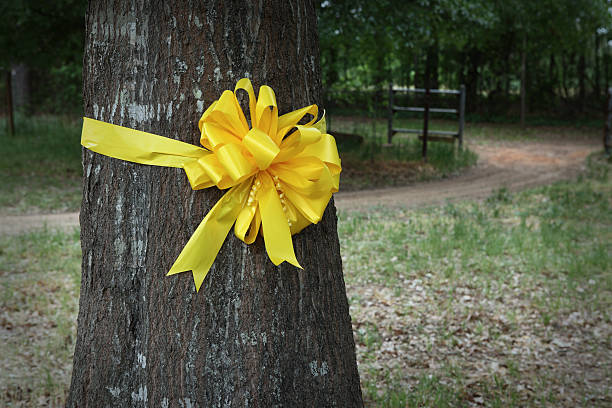 istock Yellow Ribbon Around an Oak Tree 171584653