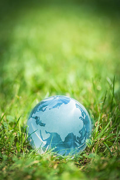 Blue globe in grass stock photo