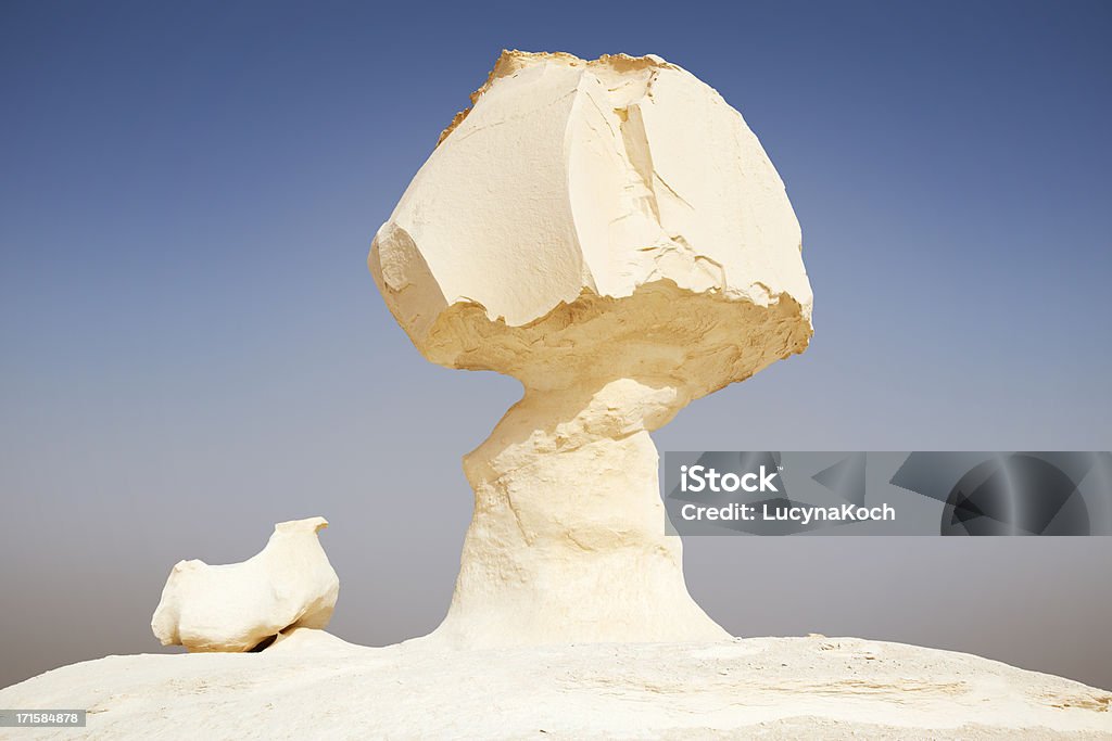 Das mushroom - Lizenzfrei Weiße Wüste Stock-Foto