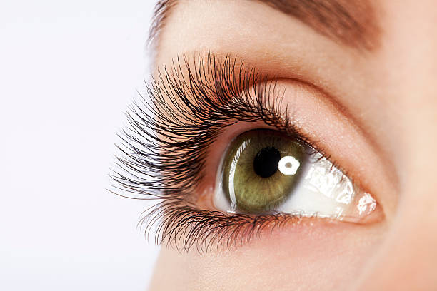 istock Close up studio shot of woman's eye 171584888