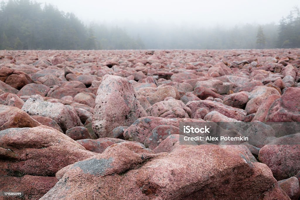 Boulder Field, phénomène naturel en Pennsylvanie et Parc d'État Hickory Run - Photo de Bois libre de droits