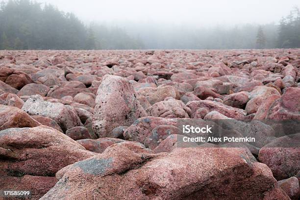 Photo libre de droit de Boulder Field Phénomène Naturel En Pennsylvanie Et Parc Détat Hickory Run banque d'images et plus d'images libres de droit de Bois