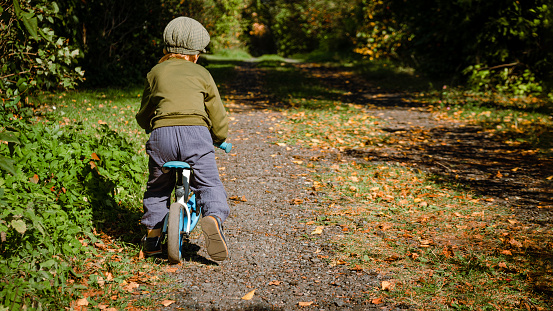 Toddler boy rides on balance bike on autumn path. Back view. Banner, copy space.