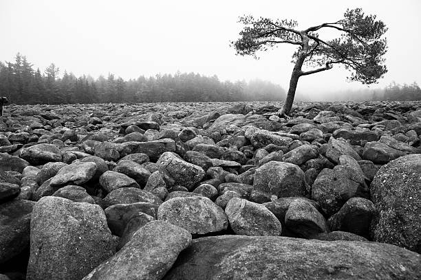 ボルダーフィールド、自然現象をペンシルバニアヒッコリーラン州立公園 - fog boulder plateau sky ストックフォトと画像