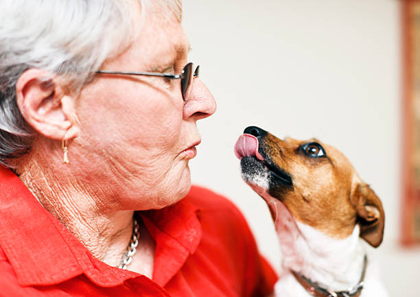 This happy old woman and her beloved Jack Russell dog greet each other enthusiastically.