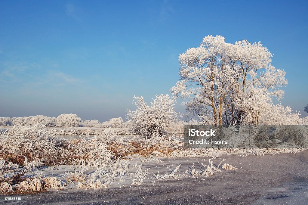 Paisaje de invierno en Havel río (Alemania) - Foto de stock de Aire libre libre de derechos