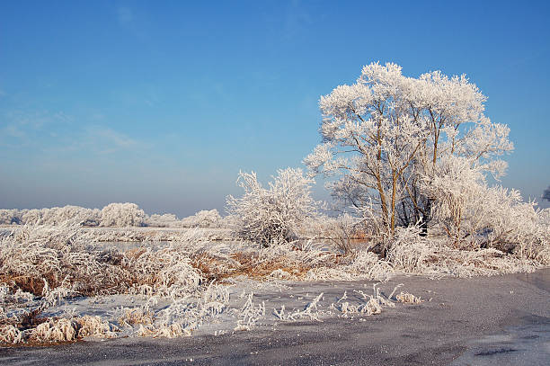 A photo of winter landscape