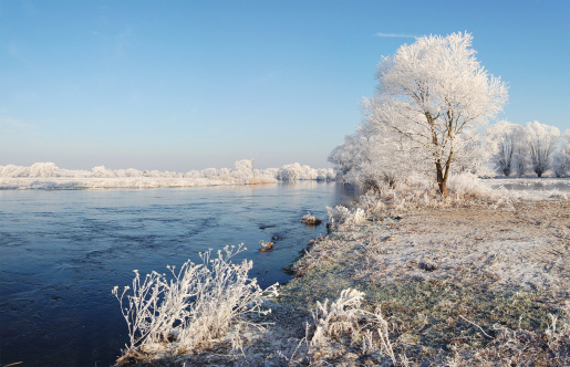 Panorama image (made of 5 seperate images) winter landscape at Havel river (Germany, Brandenburg). Willow Trees with frost growing on a river.