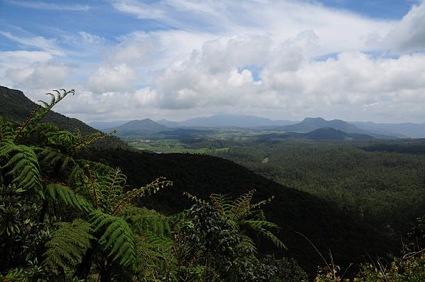 istock Pattipola, Sri Lanka. 171585648