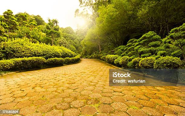 Japanese Garden Stock Photo - Download Image Now - Ornamental Garden, Abstract, Road