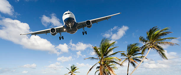 istock Airliner Landing Over Palm Trees 171585823