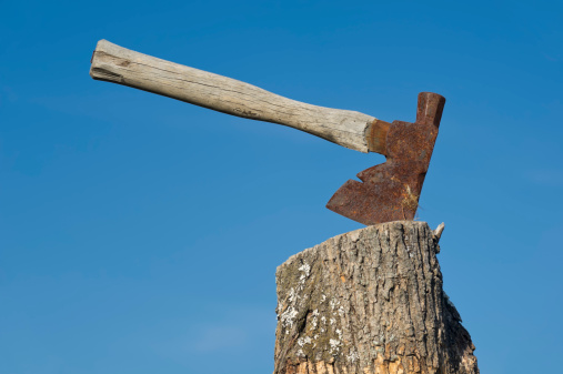 Ax stuck into wooden stump chopping block outdoors, a hatchet used as a farm tool to cut off chicken heads in meat preparation, dried feathers rotting on blade with blue sky background.