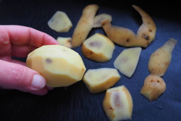 Fungal, viral or bacterial infection of the potato tuber. Dark spots inside the potato. Peeled raw potato with spots and a hole in a woman's hand. Food safety. The danger of farm natural products infección fúngica, viral o bacteriana del tubérculo de papa. manchas oscuras dentro de la papa. patata cruda pelada con manchas y un agujero en la mano de una mujer. seguridad alimentaria. el peligro de los productos naturales agrícolas.