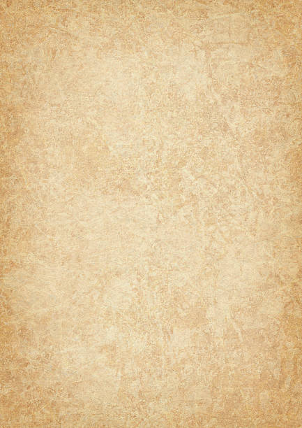 High Resolution Animal Skin Parchment (Vellum) Vignetted Grunge Texture stock photo