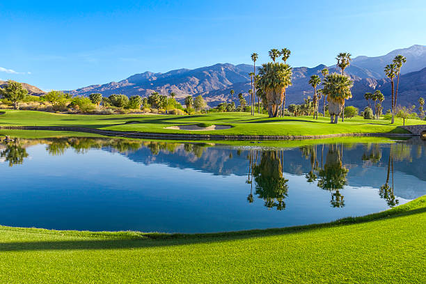Golf course in Palm Springs, California (P) Late afternoon light cast a warm glow to a golf course in Palm Springs, California green lakes stock pictures, royalty-free photos & images