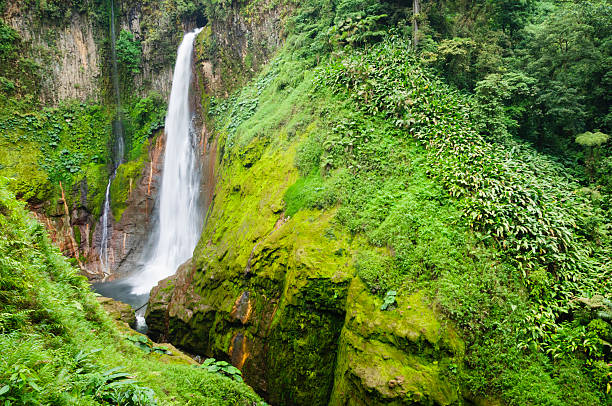 A waterfall plunges 300 ft into the crater of an extinct volcano in a tropical rainforest in Costa Rica.
