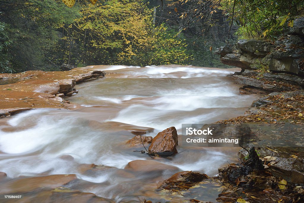 Malerischen Fluss Blackwater River - Lizenzfrei Bach Stock-Foto