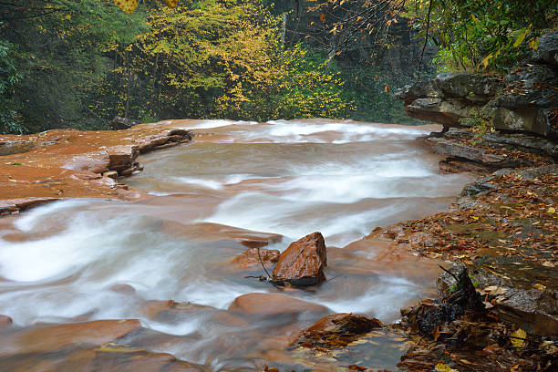 아름다운 블랙워터 강 - monongahela national forest landscapes nature waterfall 뉴스 사진 이미지
