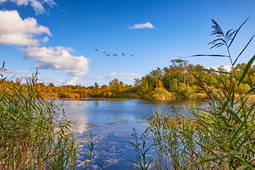 Pretty blue lake with trees in autumn color and a small island on a bright morning