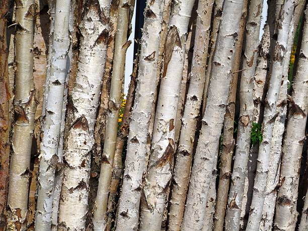 Wooden fence - background