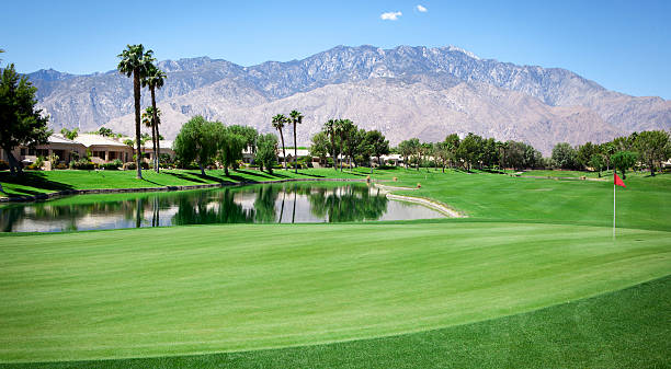 Palm Springs Golf Course Putting Green Panoramic view of a large putting green on a Palm Springs, California Golf Course. golf course photos stock pictures, royalty-free photos & images