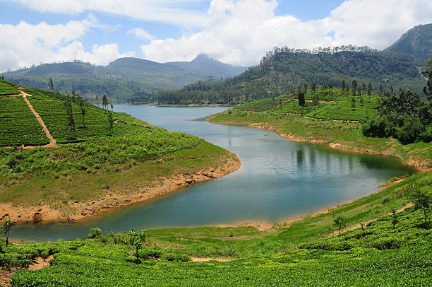 istock Maskeliya,Sri Lanka. 171586836