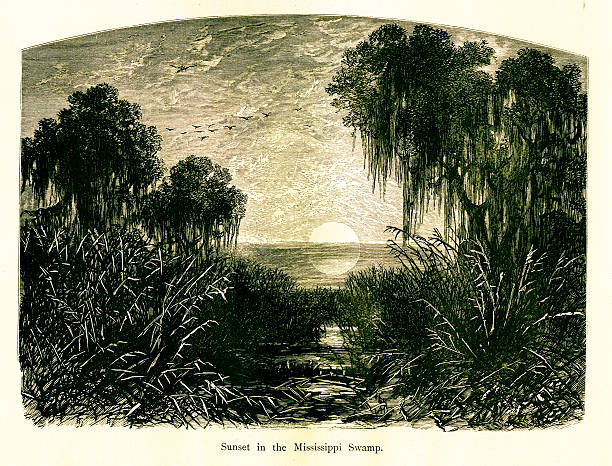 Sunset in Mississippi Swamp, USA Sunset in Mississippi Swamp, USA. Published in Picturesque America or the Land We Live In (D. Appleton & Co., New York, 1872). mississippi delta stock illustrations