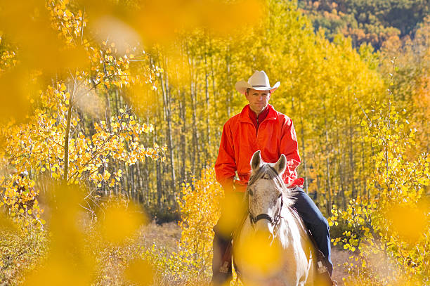 осенний катание на лошадях пейзаж - trail ride стоковые фото и изображения