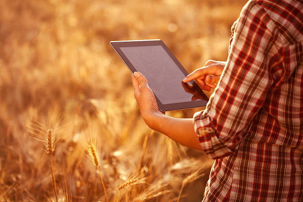 istock Young woman using digital tablet outdoors 171587251
