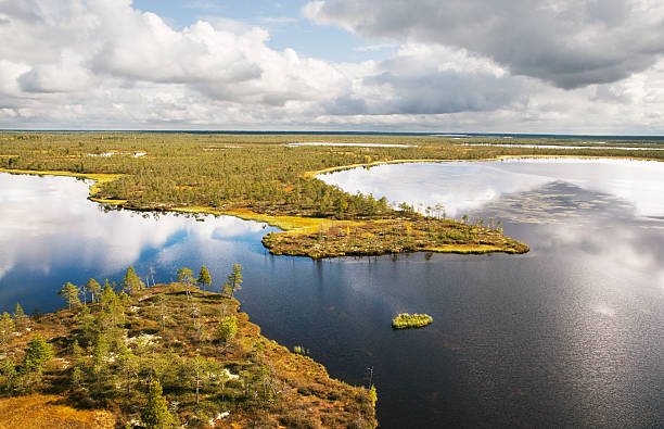istock Lakes of western Siberia 171587329