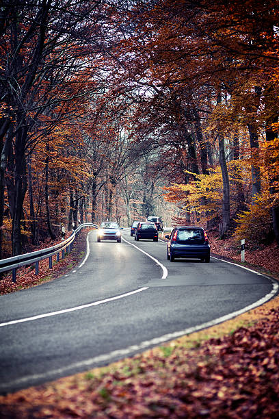 istock Autumnal forest road at dusk 171587624