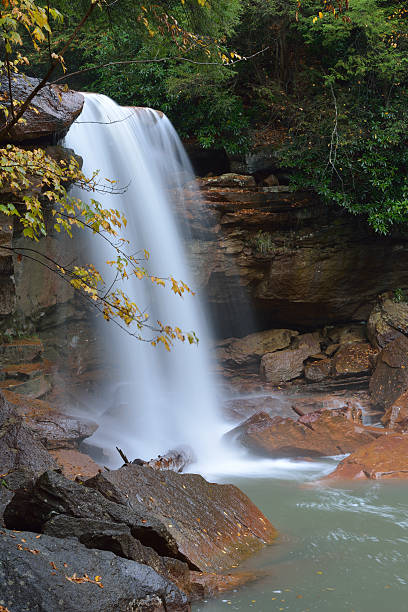douglas falls - monongahela national forest landscapes nature waterfall fotografías e imágenes de stock