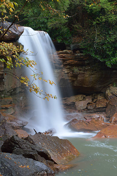 douglas 폴즈 - monongahela national forest landscapes nature waterfall 뉴스 사진 이미지