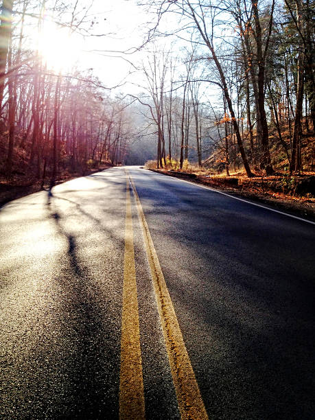 istock Road in Late Autumn 171587688