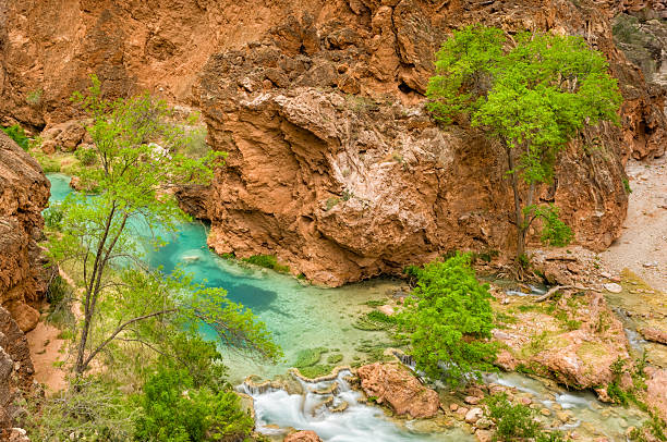 Beaver Falls Havasu Canyon Grand Canyon scenic area with aquamarine water in magical red rock canyon.  Captured as a 14-bit Raw file. Edited in 16-bit ProPhoto RGB color space. harasu canyon stock pictures, royalty-free photos & images