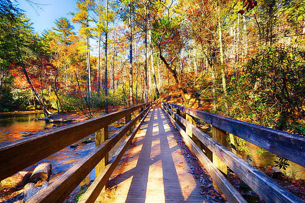 Great Smoky Mountains in Autumn Wooden bridge in the Great Smoky Mountains National Park, USA.More images from the Great Smoky Mountains NP: gatlinburg stock pictures, royalty-free photos & images