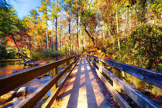 montanhas great smoky no outono - gatlinburg great smoky mountains national park nature water - fotografias e filmes do acervo