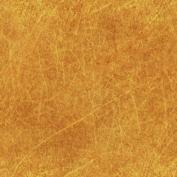High Resolution Old Animal Skin Parchment Seamless Grunge Texture