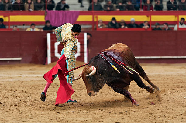 Bullfighter Bullfighter and bull in action. Spain banderilla stock pictures, royalty-free photos & images