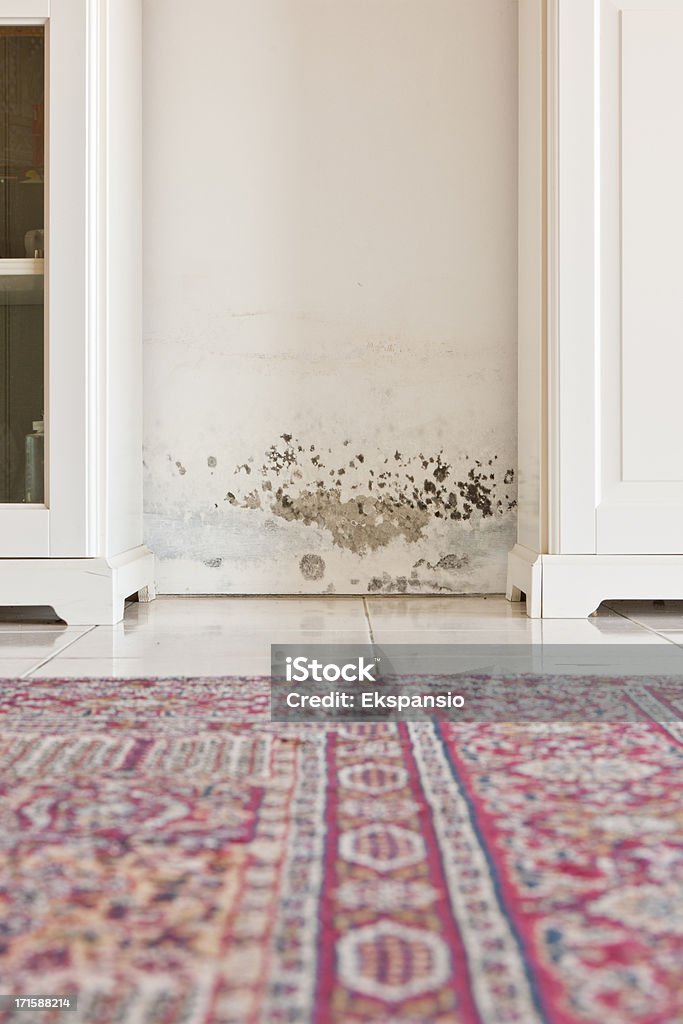Schimmel Schuh Flecken auf einem feuchten Mauer zwischen den Küchenschränken - Lizenzfrei Schimmel - Pilz Stock-Foto