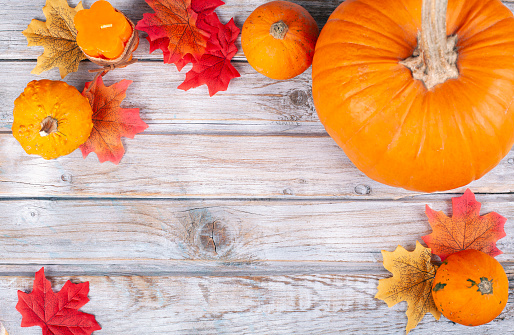 Miniature pumpkins background for Thanksgiving or Autumn.