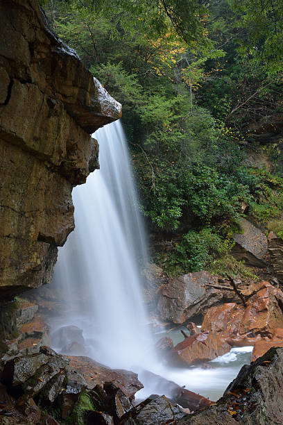 douglas falls - monongahela national forest landscapes nature waterfall fotografías e imágenes de stock