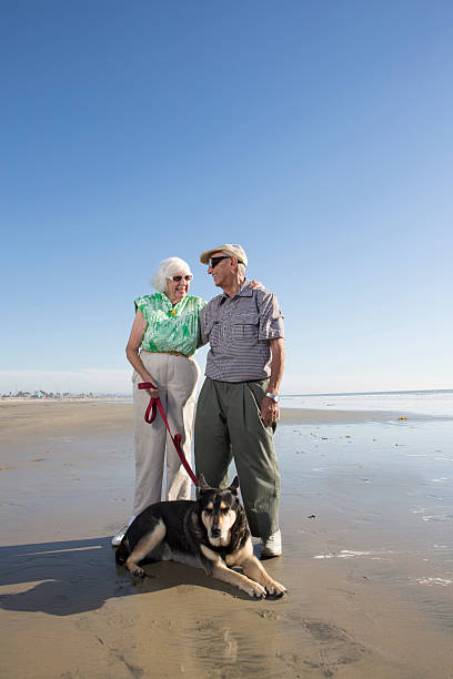 istock Elderly couple with dog 171588315