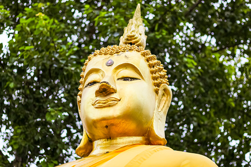 15 September 2023, Nakhon Nayok,Thailand. Pictures of big Buddha gold color in the temple of Thailand with concept landscape photos style.