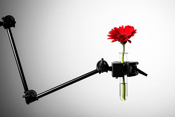 Conceptual still life.