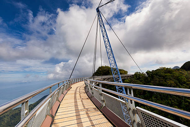 passarela scenic view - tropical rainforest elevated walkway pulau langkawi malaysia - fotografias e filmes do acervo