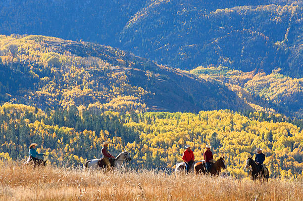 rocky mountain dla jesień krajobraz - horseback riding cowboy riding recreational pursuit zdjęcia i obrazy z banku zdjęć