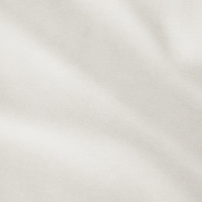 Artista de alta resolución de lona de algodón acrílico imprimarse Grunge textura de pato photo